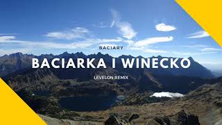 Baciary  Baciarka i Winecko Levelon Remix [upl. by Baldwin97]