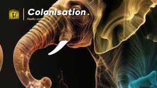 Colonisation by Madilu system English translated lyrics rhumba africa congo france [upl. by Enairb]