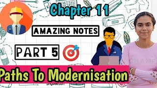 Chapter 11 Paths To Modernisation Part 5 I History Class 11 NCERT [upl. by Mcgean]