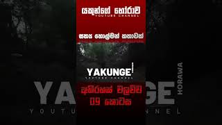 අභිරහස් වලව්ව 09 කොටස  sinhala holman katha sinhalaholmankatha horrortok viral foryou [upl. by Enilram56]