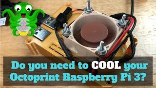 Do you need to cool your Octoprint Raspberry Pi 3 [upl. by Orlan]