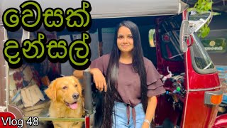 දන්සල් සීසන් part 01  Vesak Dansal  Buddhist Festival  Srilanka  Vlog 48 WolfyVlogs [upl. by Artaed893]