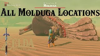 All Molduga Locations  The Legend of Zelda  Breath of the Wild [upl. by Feodora]