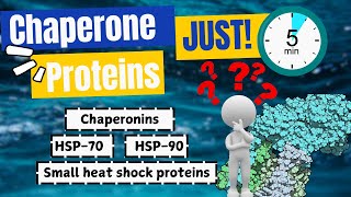 The Shocking Truth About Chaperone Proteins No One Tells You [upl. by Mohandas]