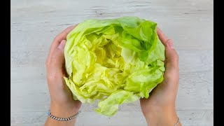 How to preserve lettuce [upl. by Hands]