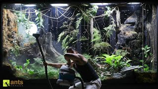 Flying Fire Ant Queens Broke Into My Giant Rainforest Vivarium [upl. by Anauqes413]