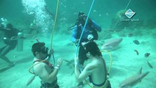 Bavaro Splash by Ocean Adventures Punta Cana [upl. by Augie]