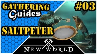 New World  Gathering Guides  Saltpeter Everfall Region [upl. by Eidnim]