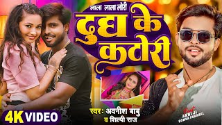 Video  दूध के कटोरी  Ft Somya Pokhrel  ShilpiRaj  Dudh Ke Katori  New Bhojpuri Song 2024 [upl. by Auehsoj]