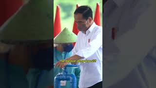 Masyarakat Kalimantan Tengah sangat berterima kasih atas kinerja Pak Jokowi [upl. by Enovad674]