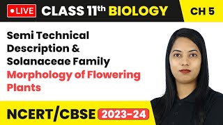 Semi Technical Description amp Solanaceae Family  Class 11 Biology Chapter 5  LIVE [upl. by Faye776]