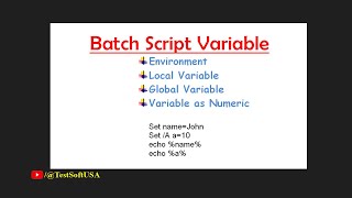 Windows Batch Script Variables explained  TestSoftUSA [upl. by Nnaeirb722]