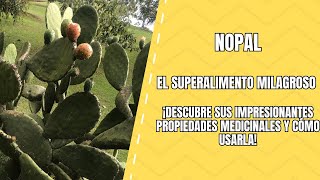 Nopal El Cactus Milagroso para Tu Salud [upl. by Alleon855]