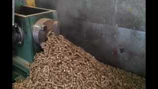 12mm straw pellets from BT60 briquetting press for chickens horses rabbits animals fish poultry [upl. by Ynavoj]