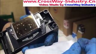 Epson DX5 DX7 Print head repairs and maintenance [upl. by Janaye]