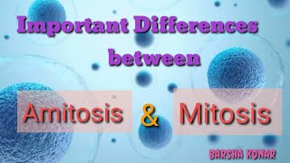 Difference between amitosis and mitosis Cell Division biology and career [upl. by Hatokad]