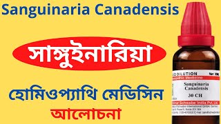 Sanguinaria Canadensis Homeopathic Medicine Explain Sanguinaria 30 Sanguinaria 200 সাঙ্গুইনারিয়া [upl. by Burrus241]