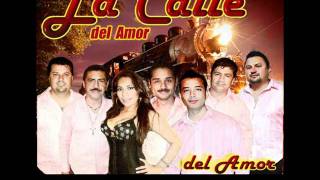 Grupo La Calle del AmorIroniaswmv [upl. by Akeimahs560]