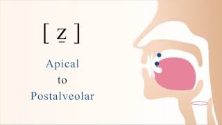 ẕ  voiced apical postalveolar sibilant fricative [upl. by Aihceyt]