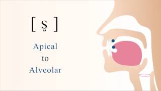 s̺  s  unvoiced apical alveolar sibilant fricative [upl. by Neenahs]