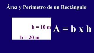 Área y perímetro de un rectángulo [upl. by Darci678]