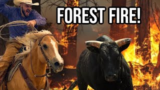 Saving Cattle From a FOREST FIRE [upl. by Anasor]