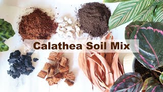 Calathea Potting mix  Calathea soil mix [upl. by See]