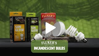 Flukers Incandescent Light Bulbs [upl. by Temme]