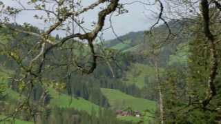 vielfalttv  Ein Bergbauernhof im Emmental [upl. by Byrle]