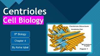 Centrioles class 9 [upl. by Tanhya]