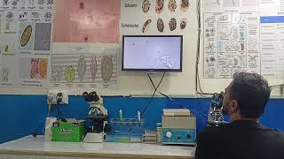 Microscopic examination of samples on Advanced Microscopy by Dr Muhammad UMER PhD Microbiology [upl. by Anderson351]