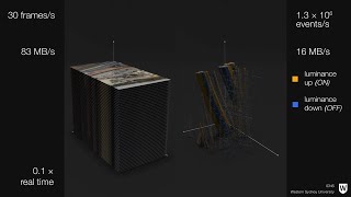 Sidebyside comparison of conventional and Neuromorphic cameras [upl. by Harad]