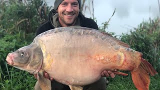 Coking farm Oak lake 40LB CARP CAUGHT HUGE CARP [upl. by Cybil]