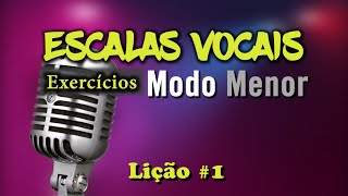 Técnica Vocal Iniciantes  Vocalizes Sobre Escalas  Modo menor [upl. by Aryek]