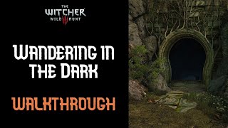 The Witcher 3 Wandering in the Dark Walkthrough Main quest [upl. by Aleck331]