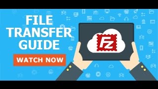 FTP from seedbox with Filezilla [upl. by Arjun108]
