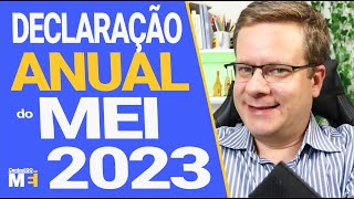 💰 DECLARAÇÃO ANUAL DO MEI  PASSO A PASSO FÁCIL [upl. by Wooster]