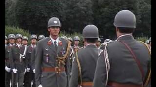 Official Parade in Vienna [upl. by Nnylyahs212]