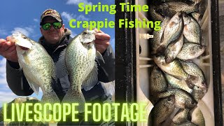 Spring Crappie Fishing Livescope Footage HD 1080p [upl. by Kciregor531]