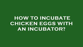 How to incubate chicken eggs with an incubator [upl. by Ihdin]