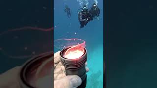 Transparent sea creature please like and subscribe [upl. by Haek]