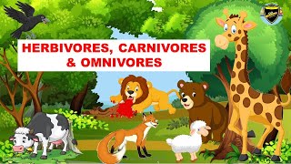 Herbivores  Carnivores  Omnivores  Types of Animals [upl. by Enialahs]