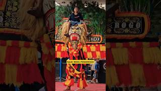 NAIK REOG PONOROGO 🔥 Wahyu Putro budoyo reog reogponorogo wahyuputrobudoyo [upl. by Enidlareg]