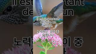 049 균형잡힌 식사를 하는 것이 중요합니다 Il est important davoir un repas équilibré lefrancais 프랑스어 audiobook [upl. by Iz]