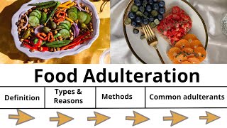 FOOD ADULTERATION  DEFINITION TYPES METHODSamp REASONS OF ADULTERATION ADULTERANTS FOUND IN FOOD [upl. by Emmerie]