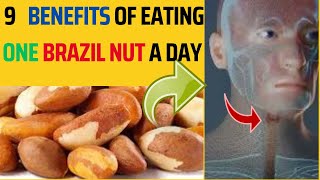 quotUnlock the Power of One Brazil Nut a Day 9 Surprising Benefitsquot [upl. by Ajaj]