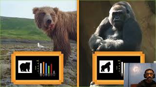 MrDayologist Reacts To TierZoo Silverback Gorilla VS Grizzly Bear  It Doesnt Matter The Bear Wins [upl. by Kcirddes287]