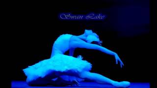 David Garrett  Swan Lake Theme [upl. by Dyke938]