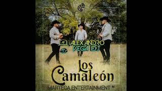 Los Camaleón Mix Vol1  Alexandro Vega Dj [upl. by Nalat]