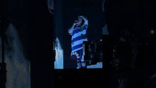 Billie Eilish lovely  ocean eyes  idwbya Hit Me Hard and Soft Tour Night 2 Xcel Energy Center [upl. by Devad]